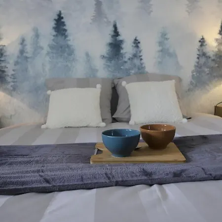 Cocon Annecien Entre Et Montagne Classe 1 Etoile Apartment *